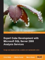 Expert Cube Development with Microsoft SQL Server 2008 Analysis Services pot