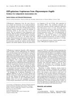 Báo cáo khóa học: UDP-galactose 4-epimerase from Kluyveromyces fragilis Evidence for independent mutarotation site pdf