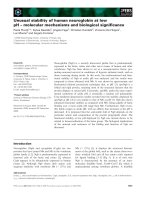 Báo cáo khoa học: Unusual stability of human neuroglobin at low pH – molecular mechanisms and biological signiﬁcance docx