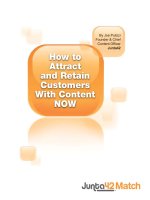 By Joe Pulizzi Founder & Chief Content Officer Junta42How to Attract and Retain Customers pdf