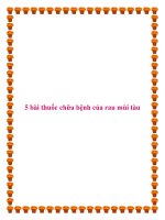 5 bài thuốc chữa bệnh của rau mùi tàu. pot