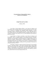 Conceptual Issues in Financial Risk Analysis: A Review for Practitioners ppt