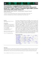Báo cáo khoa học: Accumulation of polyubiquitinated proteins by overexpression of RBCC protein interacting with docx
