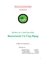 Bài Báo Cáo: Vi Sinh Thực Phẩm Bacteriocin Và Ứng Dụng pot