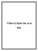 Chữa trị bệnh cho cá la hán pdf