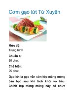 Cơm gạo lứt Tứ Xuyên pptx