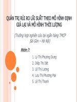 QUẢN TRỊ RỦI RO LÃI SUẤT THEO MÔ HÌNH ĐỊNH   GIÁ LẠI VÀ MÔ HÌNH THỜI LƯỢNG