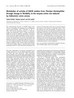 Báo cáo khóa học: Modulation of activity of NADH oxidase from Thermus thermophilus through change in ﬂexibility in the enzyme active site induced by Hofmeister series anions ppt