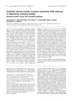 Báo cáo khoa học: Interﬂavin electron transfer in human cytochrome P450 reductase is enhanced by coenzyme binding docx