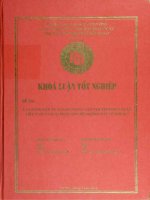 làn sóng đầu tư nước ngoài vào thị trường bán lẻ việt nam và giải pháp cho hệ thống bán lẻ nội địa