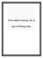 Treo nhiều Gương rất có hại về Phong thủy pot