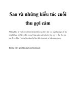 Sao và những kiểu tóc cuối thu gợi cảm pdf