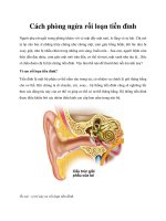 Cách phòng ngừa rối loạn tiền đình potx