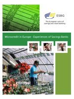 Microcredit in Europe - Experiences of Savings Banks pot