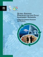 Global Guidance PrinciPles for life cycle assessment databases: A Basis for Greener Processes and Products ppt