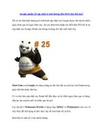 Google panda 25 cập nhật sẽ ảnh hưởng đến SEO như thế nào? pdf