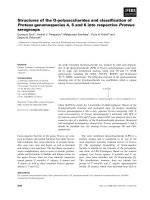 Báo cáo khoa học: Structures of the O-polysaccharides and classiﬁcation of Proteus genomospecies 4, 5 and 6 into respective Proteus serogroups ppt