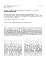 synthesis of single-crystalline hollow b-feooh nanorods via a controlled