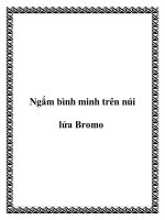 Ngắm bình minh trên núi lửa Bromo docx