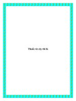 Thuốc từ cây thì là pptx