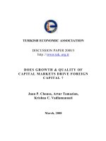 DOES GROWTH & QUALITY OF CAPITAL MARKETS DRIVE FOREIGN CAPITAL ? doc