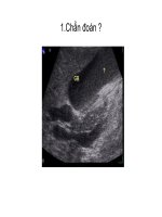 Siêu âm thực hành pot