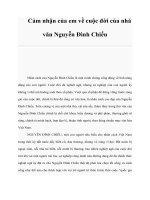 Cảm nhận của em về cuộc đời của nhà văn Nguyễn Đình Chiểu doc