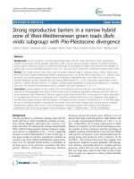 Strong reproductive barriers in a narrow hybrid zone of West-Mediterranean green toads (Bufo viridis subgroup) with Plio-Pleistocene divergence pptx