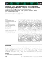 Báo cáo khoa học: Deviation of the neurosporaxanthin pathway towards b-carotene biosynthesis in Fusarium fujikuroi by a point mutation in the phytoene desaturase gene ppt