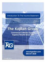 Introduction To The Income Statemen doc