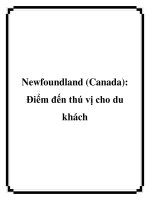 Newfoundland (Canada): Điểm đến thú vị cho du khách docx