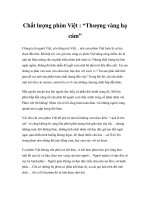 Chất lượng phim Việt : “Thượng vàng hạ cám” pptx