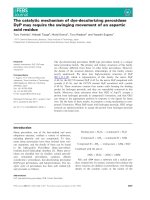 Báo cáo khoa học: The catalytic mechanism of dye-decolorizing peroxidase DyP may require the swinging movement of an aspartic acid residue potx