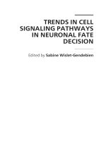Trends in Cell Signaling Pathways in Neuronal Fate Decision Edited by Sabine Wislet-Gendebien potx