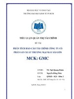 Phân tích báo cáo tài chính công ty cổ phần sản xuất thương mại may Sài Gòn (mã chứng khoán GMC)