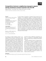 Báo cáo khoa học: Competition between neighboring topogenic signals during membrane protein insertion into the ER pptx