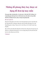 Những đồ phong thủy hay được sử dụng để đem lại may mắn docx