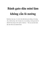 Bánh gato dâu mini làm không cần lò nướng docx