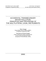 ACCIDENTAL TRANSBOUNDARY WATER POLLUTION: PRINCIPLES AND PROVISIONS OF THE MULTILATERAL LEGAL INSTRUMENTS pdf