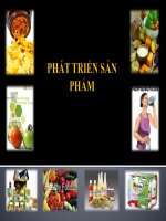 Phát triển sản phẩm 1 pot