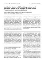 Báo cáo khoa học: Identiﬁcation, structure and differential expression of novel pleurocidins clustered on the genome of the winter ﬂounder, Pseudopleuronectes americanus (Walbaum) ppt