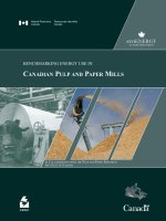 BENCHMARKING ENERGY USE IN CANADIAN PULP AND PAPER MILLS doc
