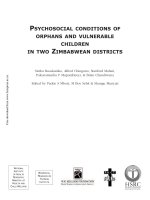 Psychosocial conditions of orphans and vulnerable children in two Zimbabwean districts doc