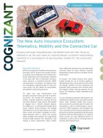 The New Auto Insurance Ecosystem: Telematics, Mobility and the Connected Car doc