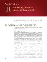 Appendix 1 To Chapter The Savings and Loan Crisis and Its Aftermath potx