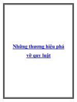 Những thương hiệu phá vỡ quy luật ppt