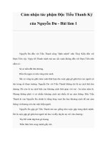 Cảm nhận tác phậm Độc Tiểu Thanh Ký của Nguyễn Du - Bài làm 1 pot