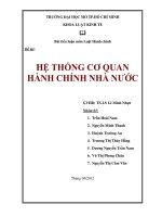 TIỂU LUẬN:HỆ THỐNG CƠ QUAN HÀNH CHÍNH NHÀ NƯỚC docx