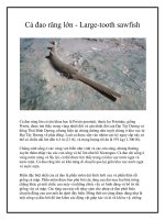 Cá đao răng lớn - Large-tooth sawfish pdf