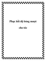 Phục hồi độ bóng mượt cho tóc pot